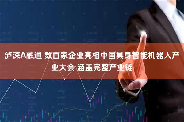 泸深A融通 数百家企业亮相中国具身智能机器人产业大会 涵盖完整产业链