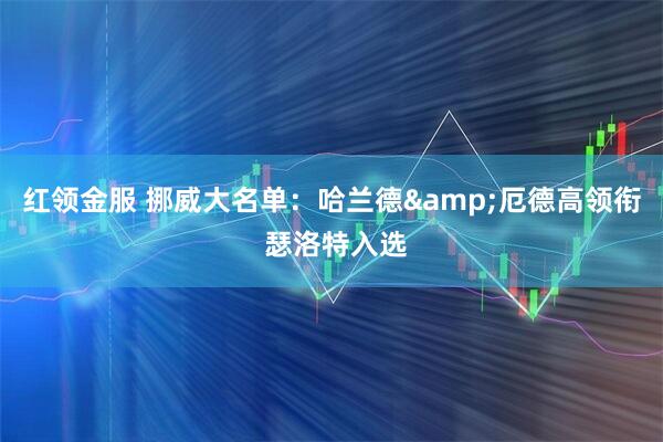 红领金服 挪威大名单：哈兰德&厄德高领衔 瑟洛特入选